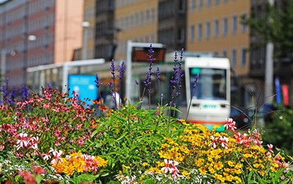 MVB-Straßenbahn