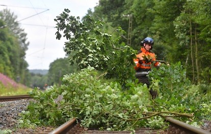 Vegetationsbeschnitt entlang der Strecke Hann. Münden – Kassel. Zum Einsatz kommt eine fliegende Säge, ein mit mit meterlangen Sägen und Greifern bestückter Helikopter.