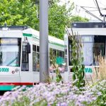 Streik bei kommunalen Nahverkehrsunternehmen in Sachsen-Anhalt am 19.02.2024