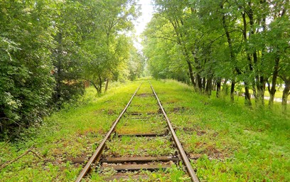Der Verband Deutscher Verkehrsunternehmen und die Allianz pro Schiene fordern, stillgelegte Bahnstrecken schneller wieder ans Netz zu nehmen. Andernfalls werde die Verkehrswende nicht gelingen.