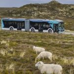 Fünf MAN-Elektrobusse sorgen für nachhaltige Mobilität auf Sylt