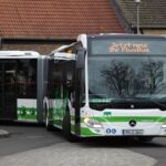 Grundlagen für eine Mobilitätsgarantie in Deutschland
