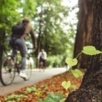 VCÖ: Für das Erreichen der Klimaziele sind verstärkte Maßnahmen im Verkehr nötig VCÖ: Für das Erreichen der Klimaziele sind verstärkte Maßnahmen im Verkehr nötig