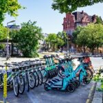 Jelbis sechstes Jahr