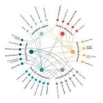 Die „Gen Scooter“: Was die junge Generation vom ÖPNV erwartet